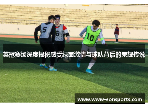 英冠赛场深度揭秘感受绿茵激情与球队背后的荣耀传说