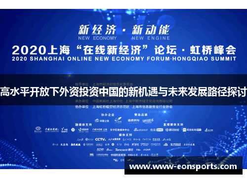 高水平开放下外资投资中国的新机遇与未来发展路径探讨